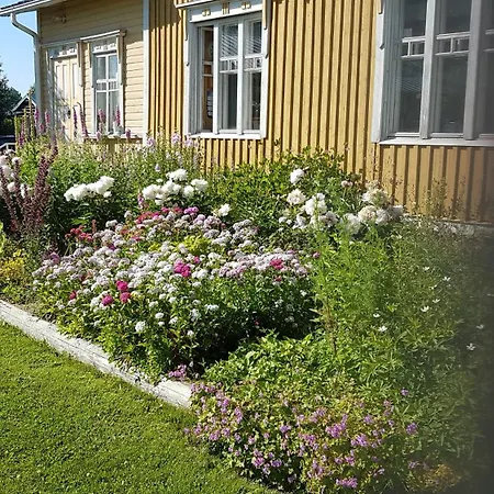 Maentylaen Tila Närvijoki